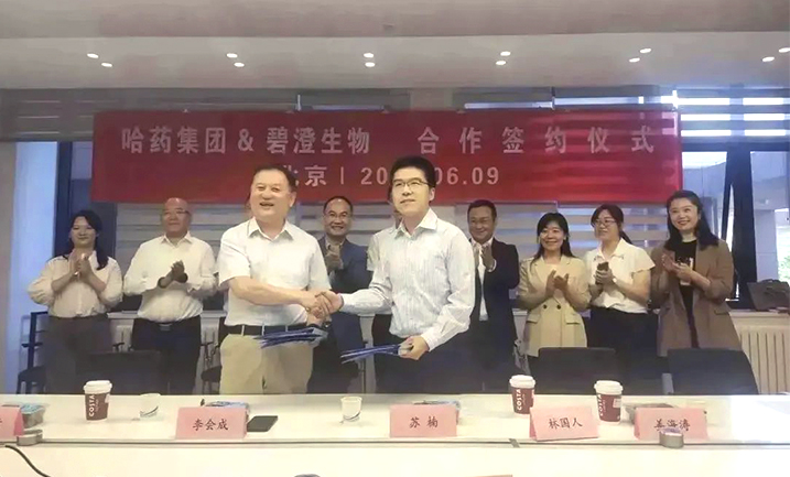 哈藥攜手清華大學(xué)，強(qiáng)強(qiáng)聯(lián)合共創(chuàng)膠原蛋白行業(yè)未來(lái)